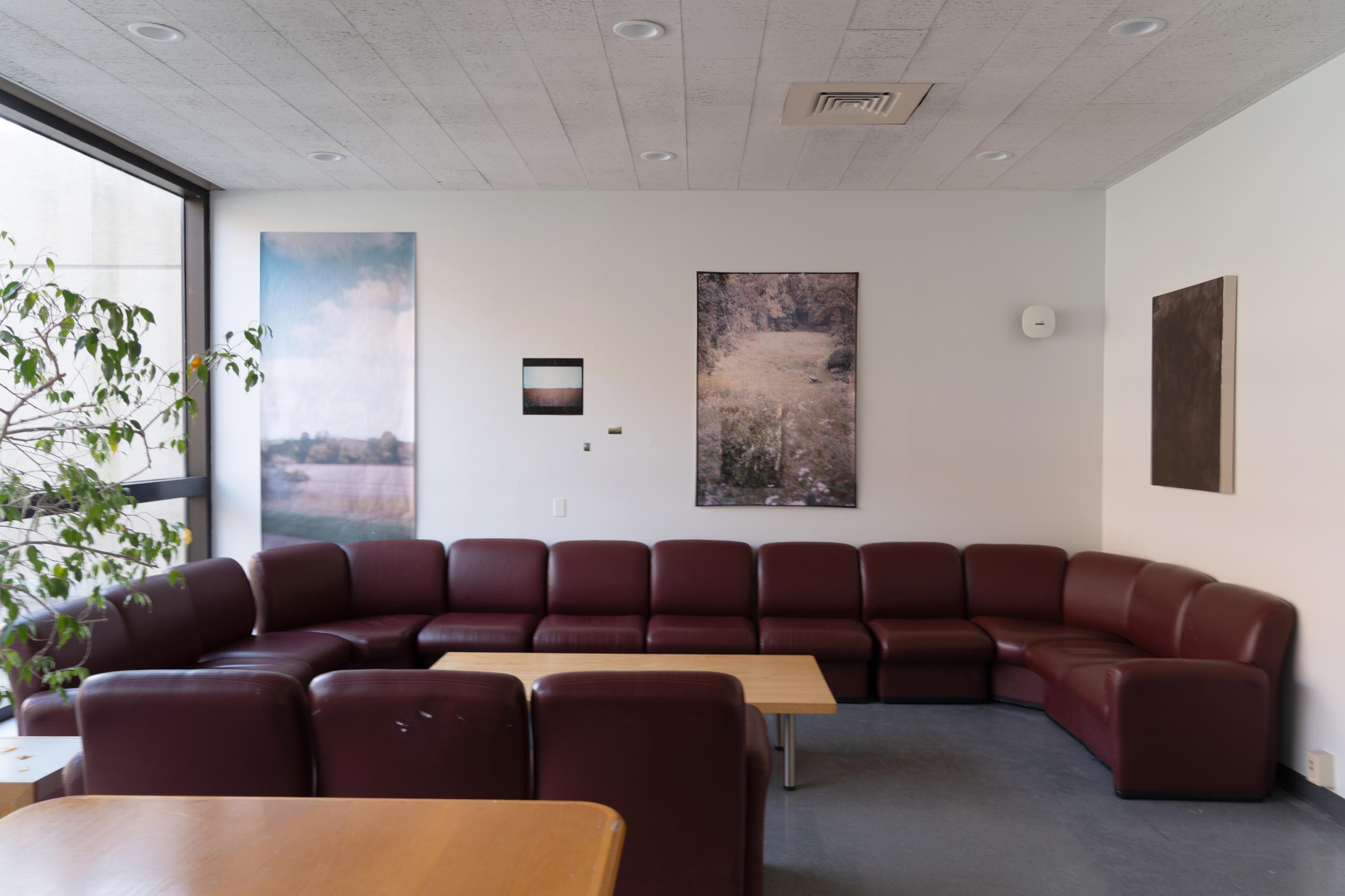 Multiple works hung on a white wall above a u shaped maroon leather couch