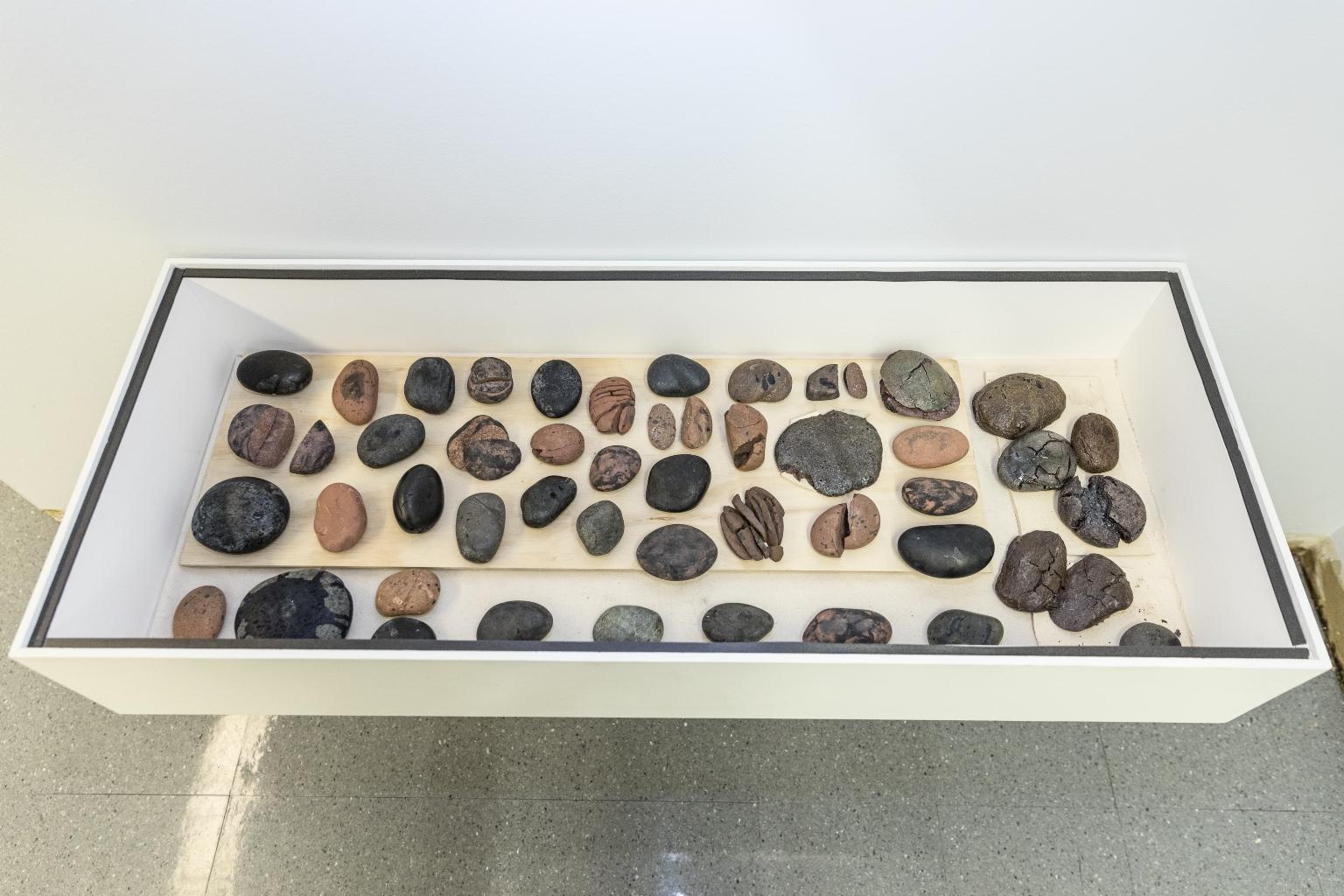 50 manipulated works are arranged in a display case