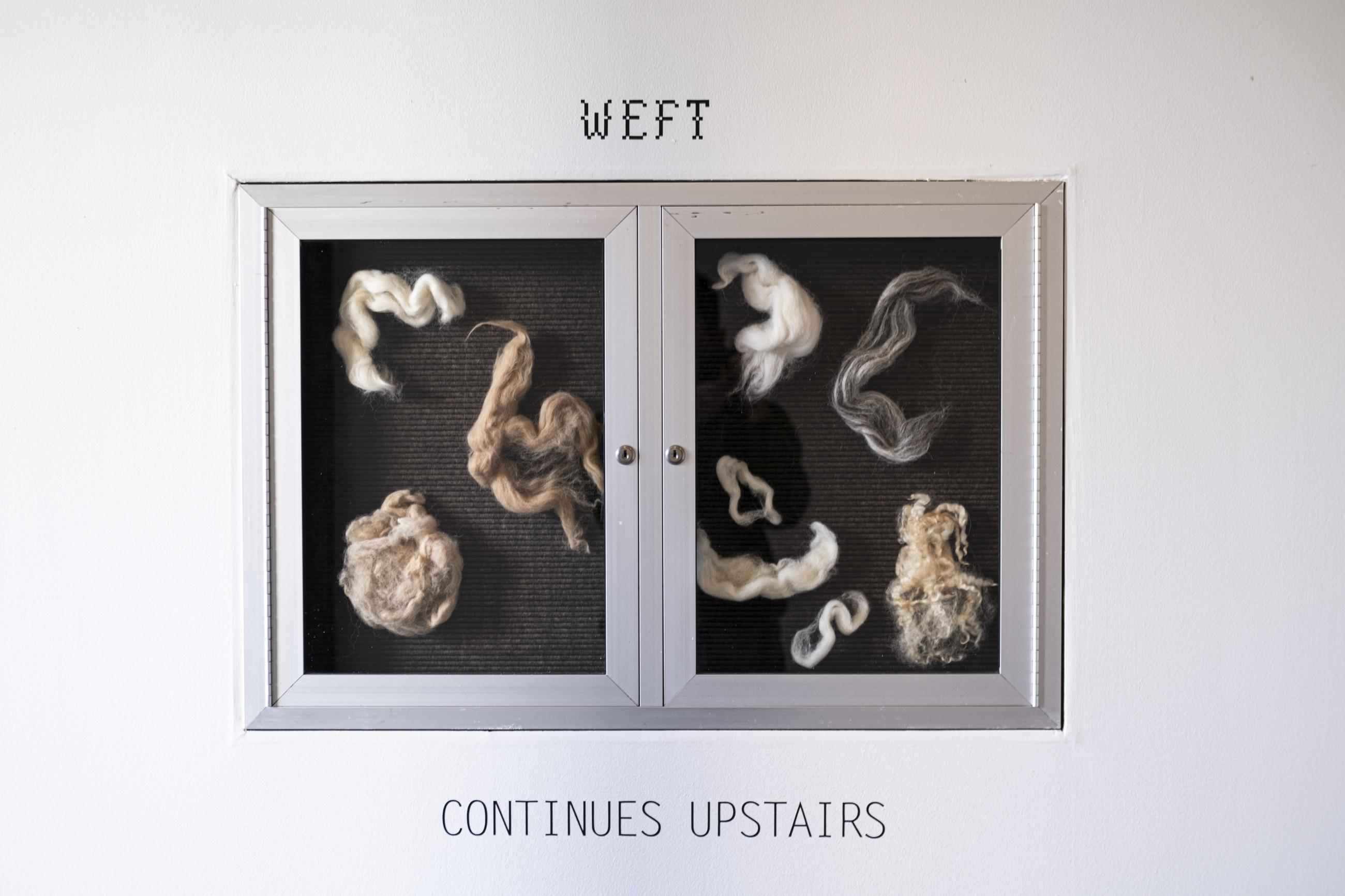 Tufts of wool fibers in a rectangular display case with text that reads "Weft continues upstairs"