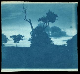 A blue-toned landscape photo with trees and bare branches, clouds in the background