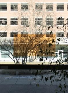 Film from Renaissance Society installation