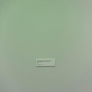 Film from Puppies, Puppies work installed at the Renaissance Society