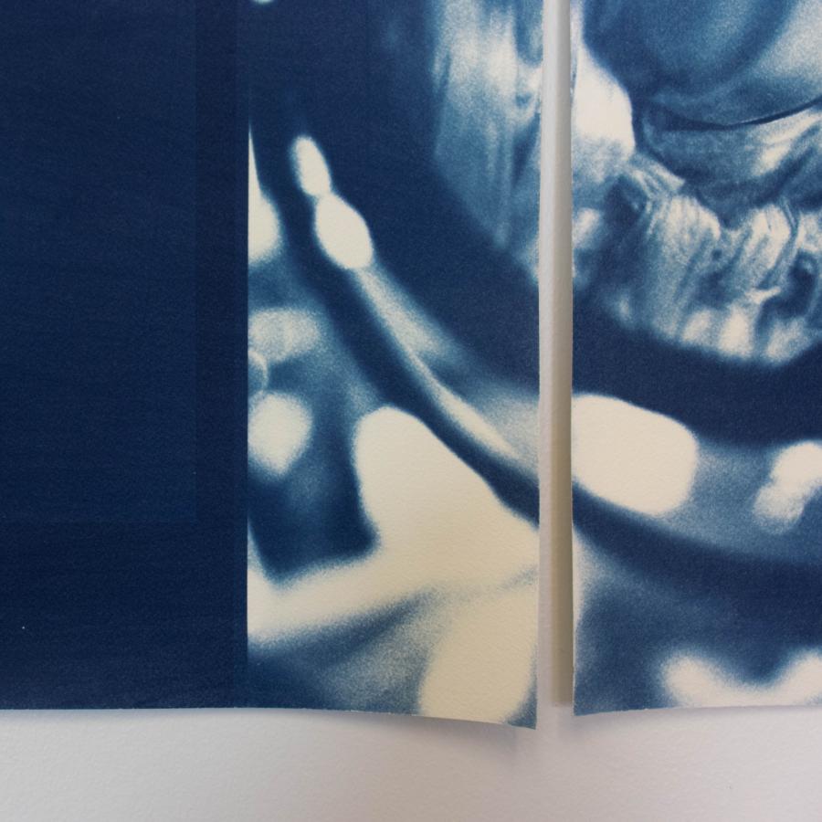 Detail image of two side-by-side cyanotypes.